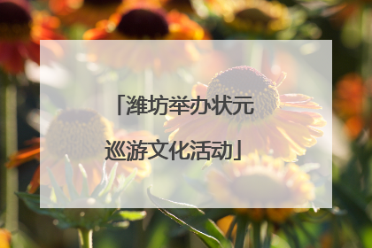 潍坊举办状元巡游文化活动