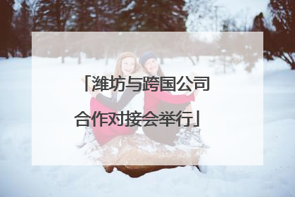潍坊与跨国公司合作对接会举行