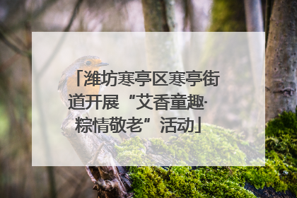 潍坊寒亭区寒亭街道开展“艾香童趣·粽情敬老”活动