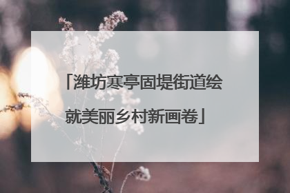 潍坊寒亭固堤街道绘就美丽乡村新画卷