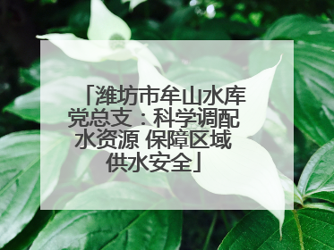 潍坊市牟山水库党总支：科学调配水资源 保障区域供水安全