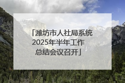 潍坊市人社局系统2025年半年工作总结会议召开