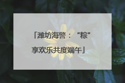 潍坊海警：“粽”享欢乐共度端午