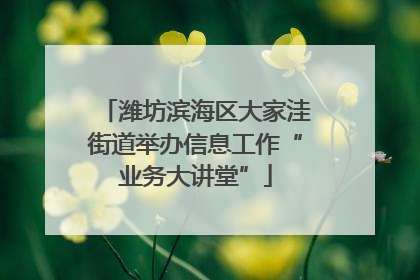潍坊滨海区大家洼街道举办信息工作“业务大讲堂”