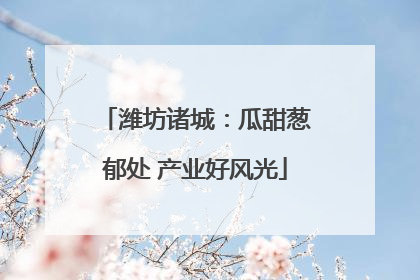 潍坊诸城：瓜甜葱郁处 产业好风光