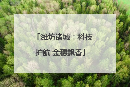 潍坊诸城：科技护航 金穗飘香