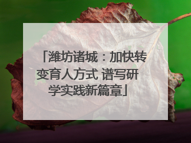 潍坊诸城：加快转变育人方式 谱写研学实践新篇章