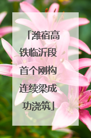 潍宿高铁临沂段首个刚构连续梁成功浇筑