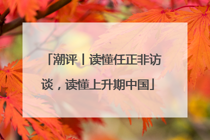 潮评丨读懂任正非访谈，读懂上升期中国