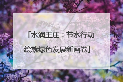 水润王庄：节水行动绘就绿色发展新画卷