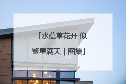 水蕴草花开 似繁星满天｜图集
