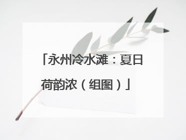 永州冷水滩：夏日荷韵浓（组图）