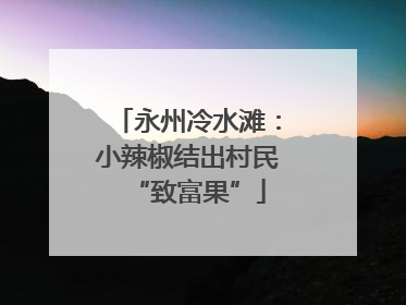 永州冷水滩：小辣椒结出村民“致富果”