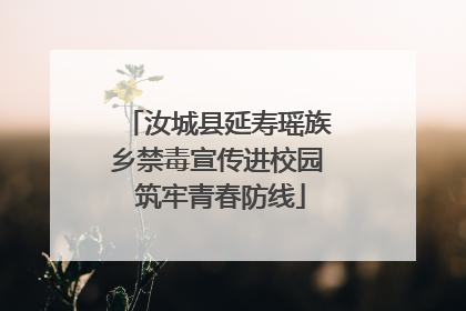 汝城县延寿瑶族乡禁毒宣传进校园 筑牢青春防线