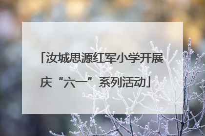 汝城思源红军小学开展庆“六一”系列活动