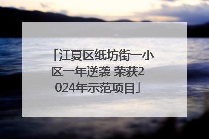 江夏区纸坊街一小区一年逆袭 荣获2024年示范项目