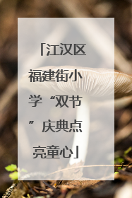江汉区福建街小学“双节”庆典点亮童心