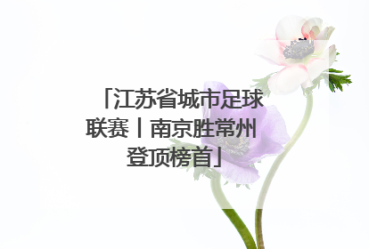 江苏省城市足球联赛丨南京胜常州 登顶榜首