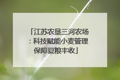 江苏农垦三河农场：科技赋能小麦管理保障夏粮丰收