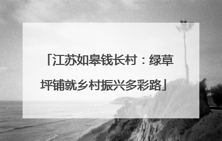江苏如皋钱长村：绿草坪铺就乡村振兴多彩路