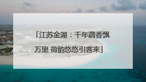 江苏金湖：千年藕香飘万里 荷韵悠悠引客来