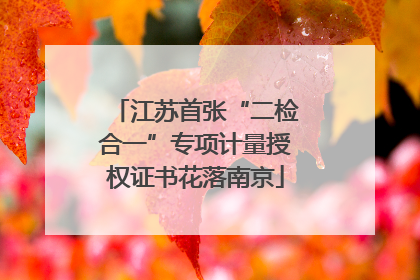 江苏首张“二检合一”专项计量授权证书花落南京