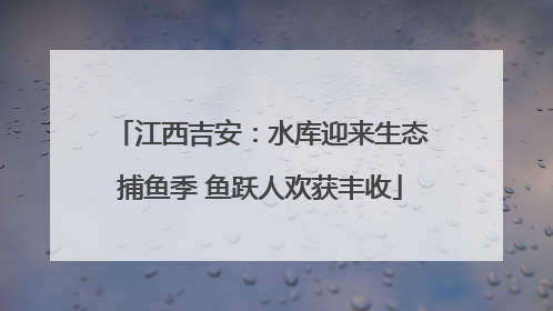 江西吉安：水库迎来生态捕鱼季 鱼跃人欢获丰收