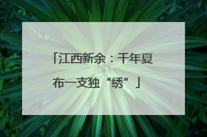 江西新余：千年夏布一支独“绣”