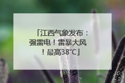 江西气象发布：强雷电！雷暴大风！最高38℃