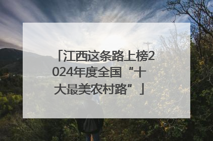 江西这条路上榜2024年度全国“十大最美农村路”