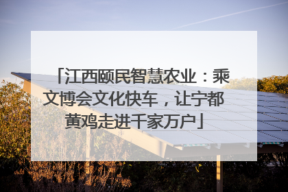 江西颐民智慧农业：乘文博会文化快车，让宁都黄鸡走进千家万户