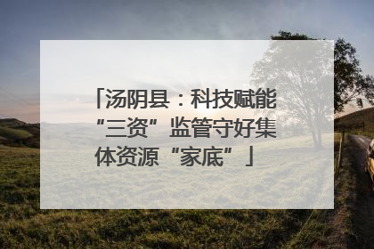 汤阴县：科技赋能“三资”监管守好集体资源“家底”