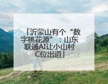 沂蒙山有个“数字桃花源”：山东联通AI让小山村C位出道