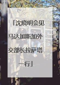 沈晓明会见马达加斯加外交部长拉萨塔一行