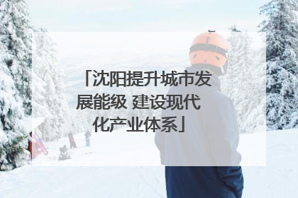 沈阳提升城市发展能级 建设现代化产业体系