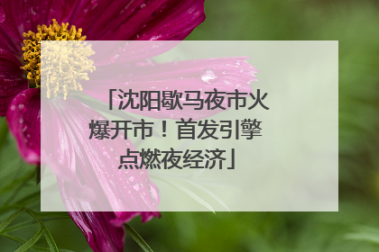 沈阳歇马夜市火爆开市！首发引擎点燃夜经济