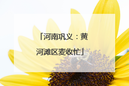 河南巩义：黄河滩区麦收忙