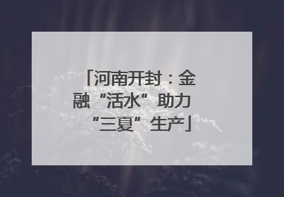 河南开封：金融“活水”助力“三夏”生产