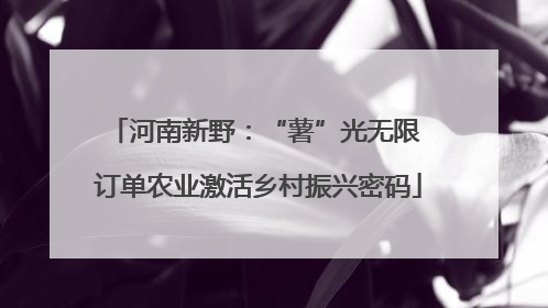 河南新野：“薯”光无限 订单农业激活乡村振兴密码