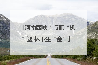 河南西峡：巧抓“机”遇 林下生“金”