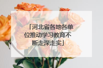 河北省各地各单位推动学习教育不断走深走实