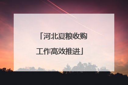 河北夏粮收购工作高效推进