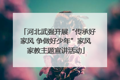 河北武强开展“传承好家风 争做好少年”家风家教主题宣讲活动