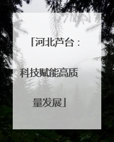 河北芦台：科技赋能高质量发展
