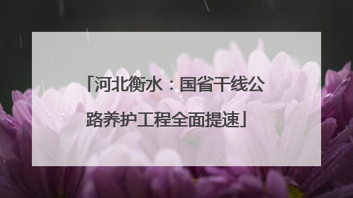 河北衡水：国省干线公路养护工程全面提速