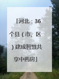 河北：36个县（市、区）建成智慧共享中药房