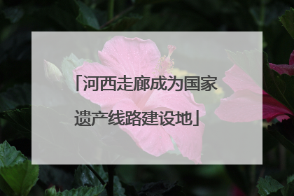 河西走廊成为国家遗产线路建设地