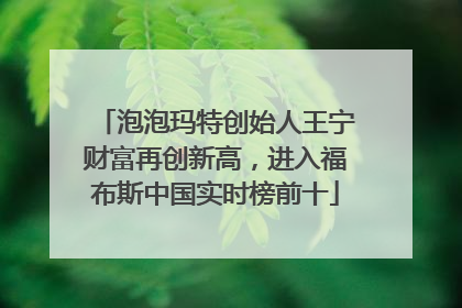 泡泡玛特创始人王宁财富再创新高，进入福布斯中国实时榜前十