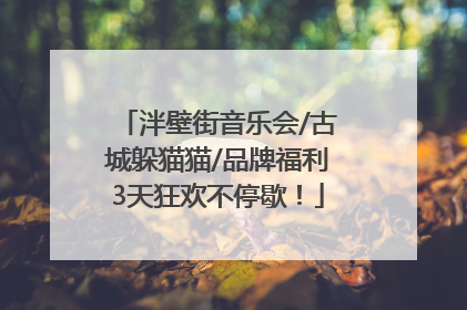泮壁街音乐会/古城躲猫猫/品牌福利3天狂欢不停歇！