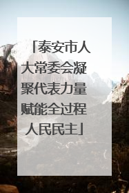 泰安市人大常委会凝聚代表力量赋能全过程人民民主